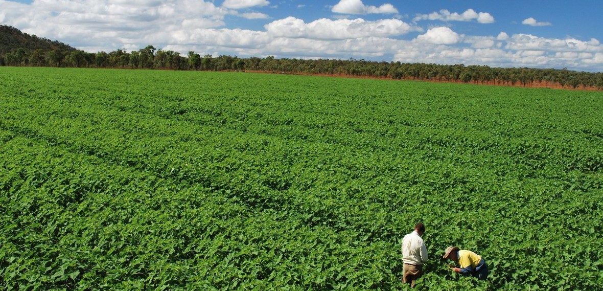 environmental project management newcastle hunter sydney