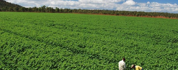 environmental project management newcastle hunter sydney