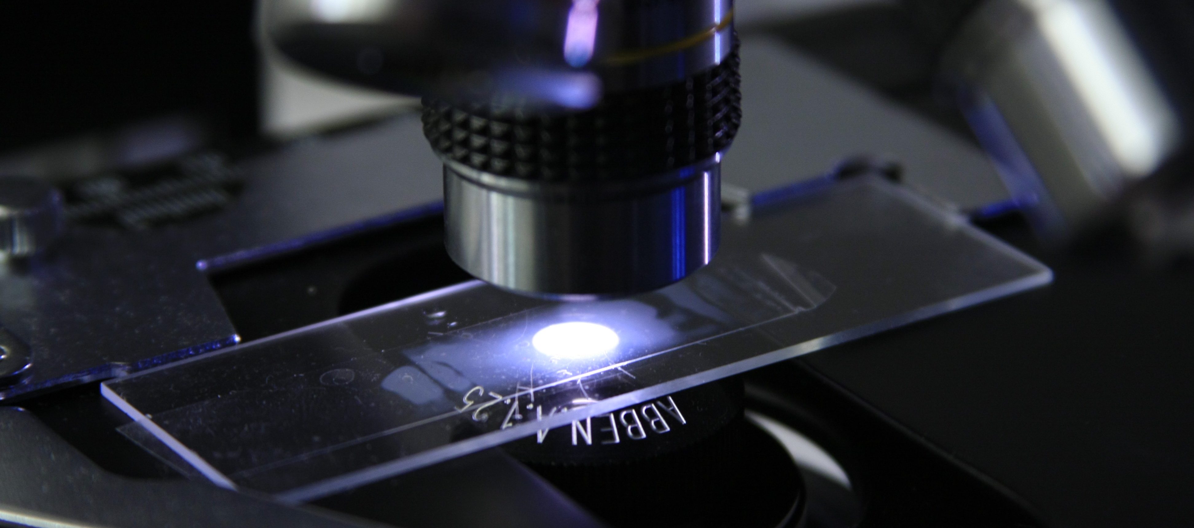 mould asbestos soil air monitoring newcastle hunter valley australia