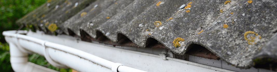 asbestos removal testing Newcastle Maitland Hunter Valley NSW cheap hazardous substances audit